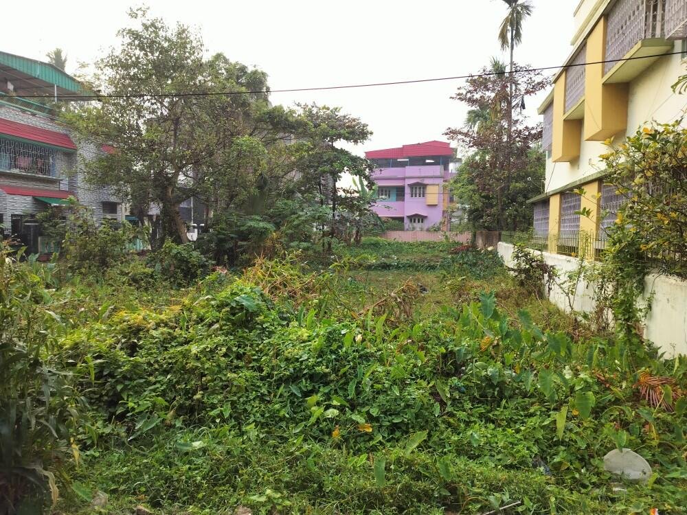 New Shakuntala Park