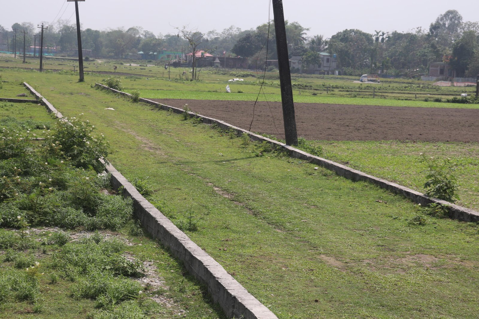 Project - Madhuban