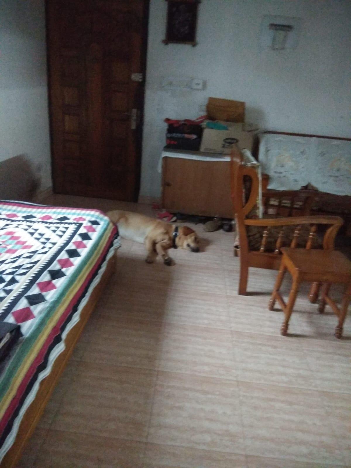 Himgiri Apartment